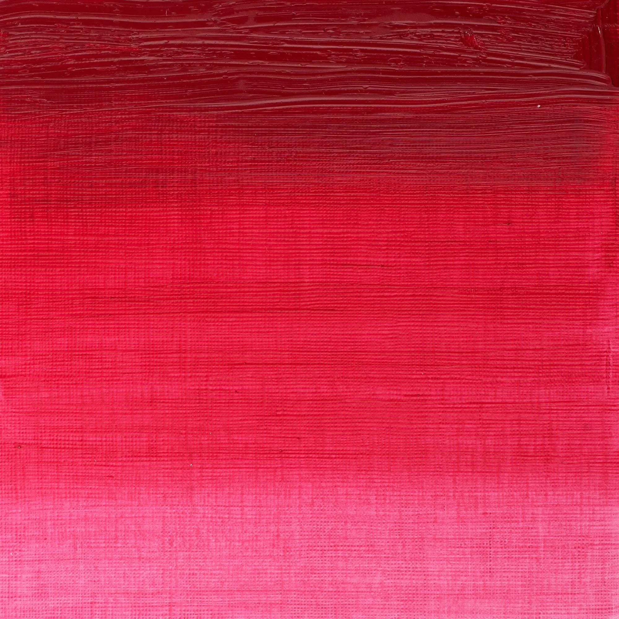 Winsor & Newton Winton Oil