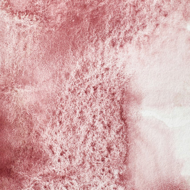 Winsor & Newton Professional Watercolour