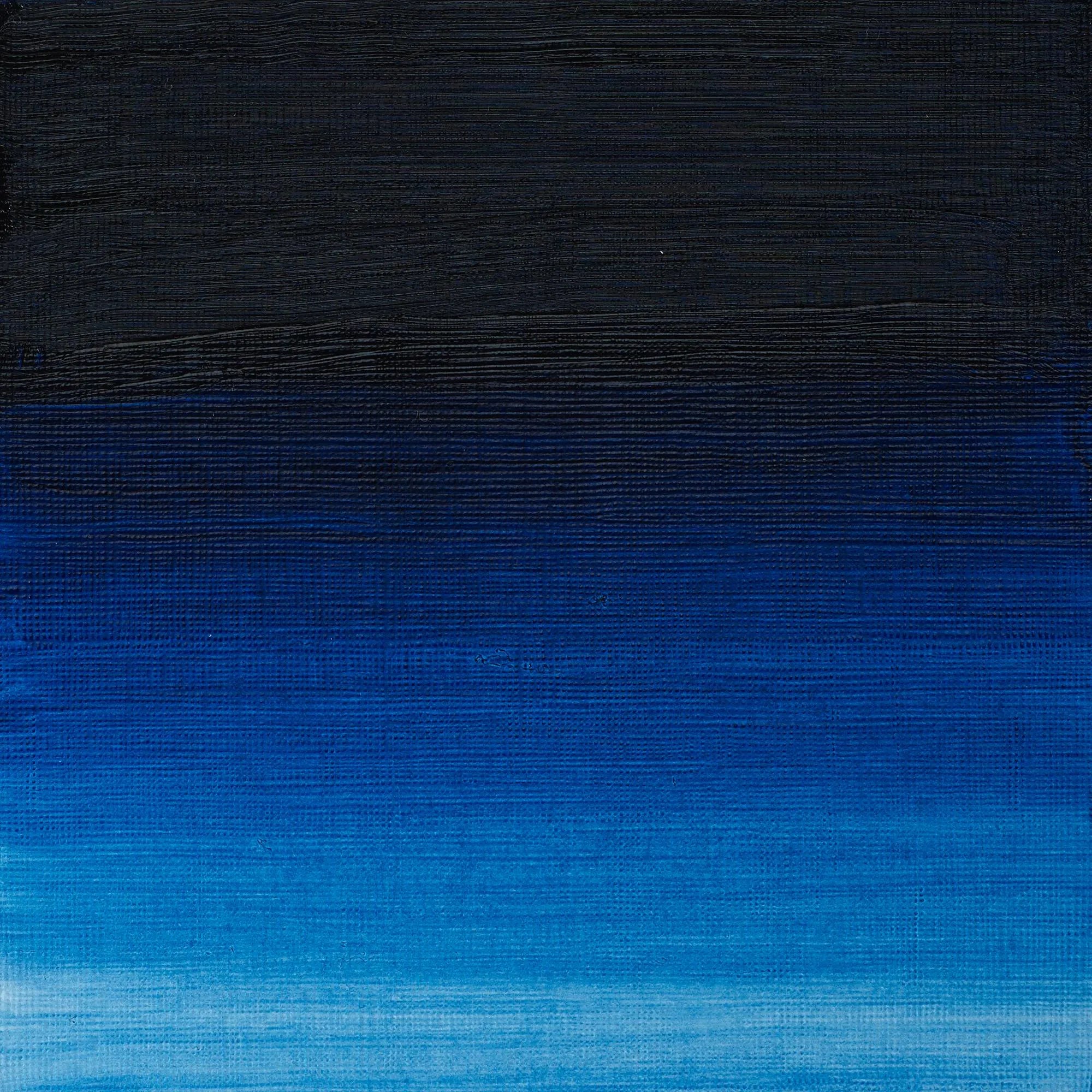 Winsor & Newton Artist's Oil