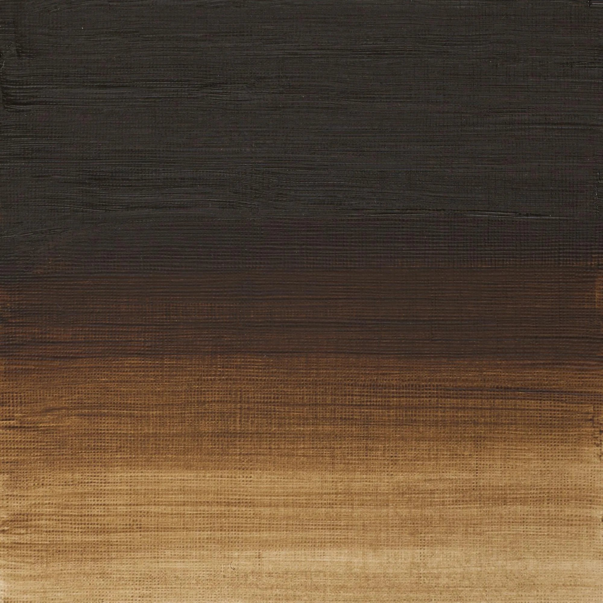 Winsor & Newton Artist's Oil