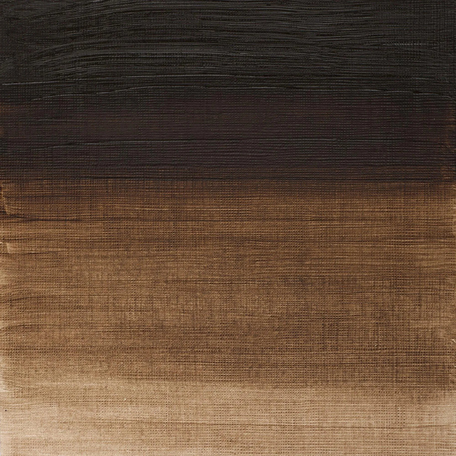 Winsor & Newton Winton Oil