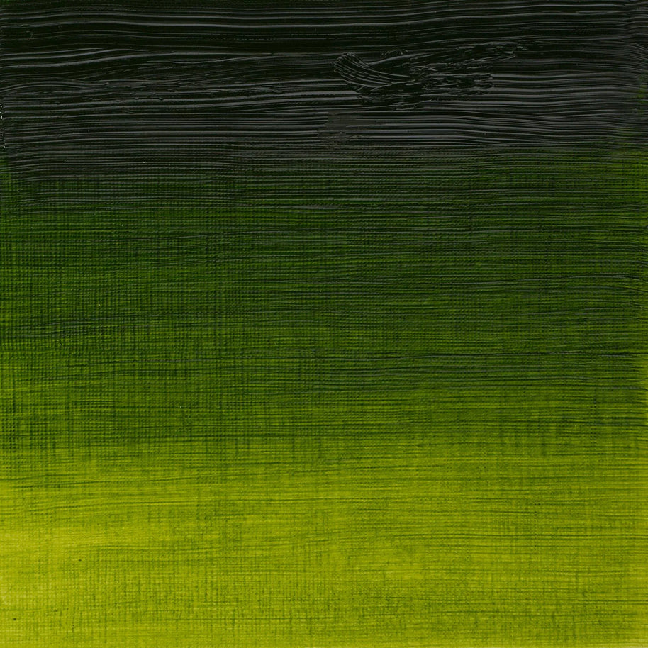 Winsor & Newton Artist's Oil