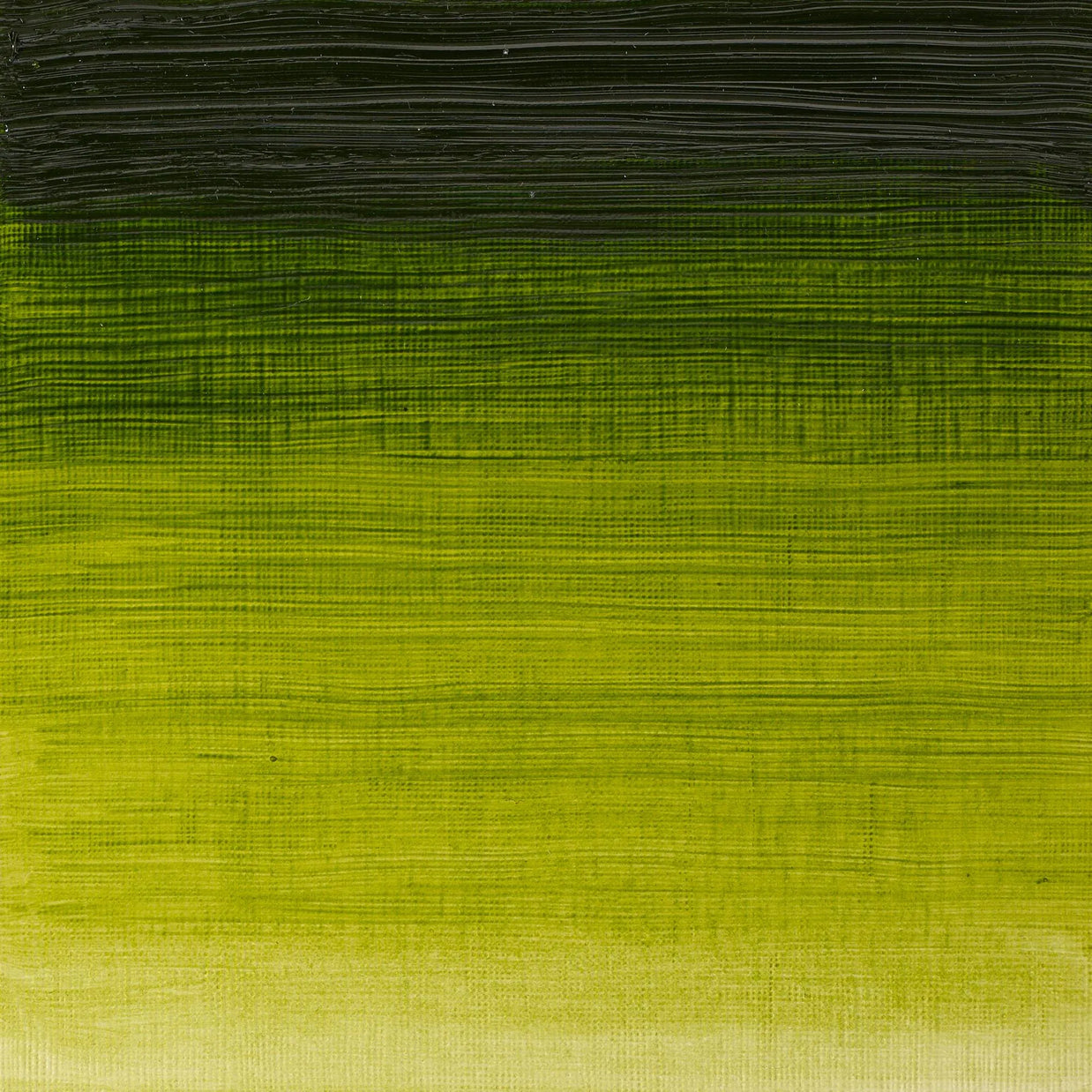 Winsor & Newton Winton Oil