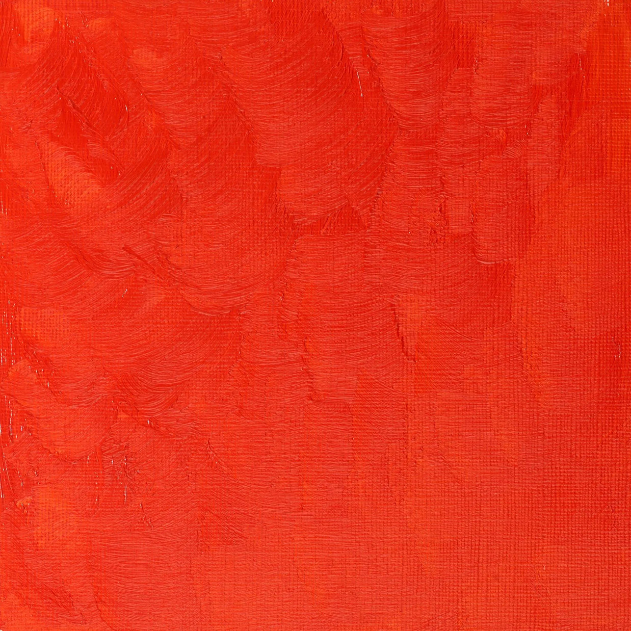 Winsor & Newton Winton Oil