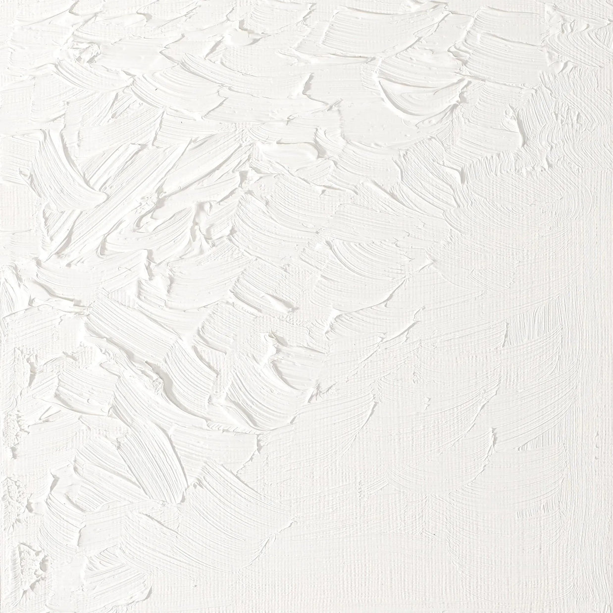 Winsor & Newton Artist's Oil 37ml