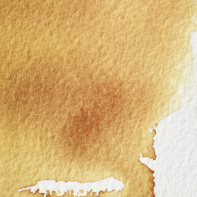 Winsor & Newton Professional Watercolour