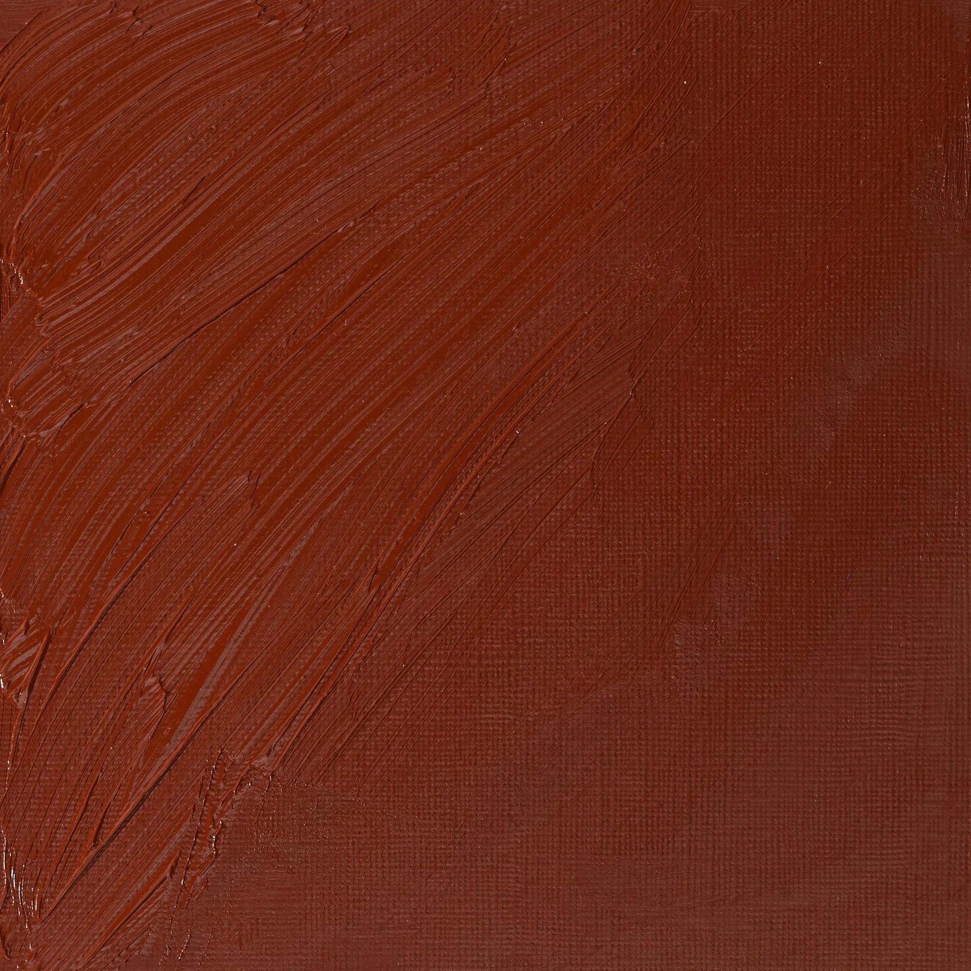 Winsor & Newton Artist's Oil