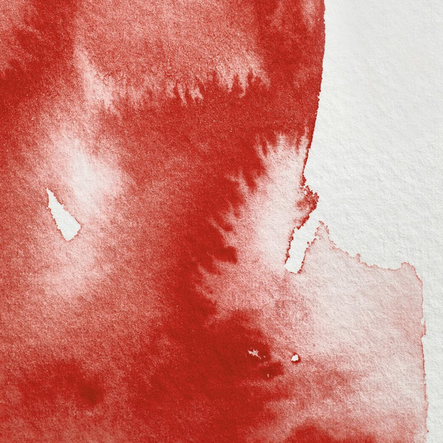 Winsor & Newton Professional Watercolour