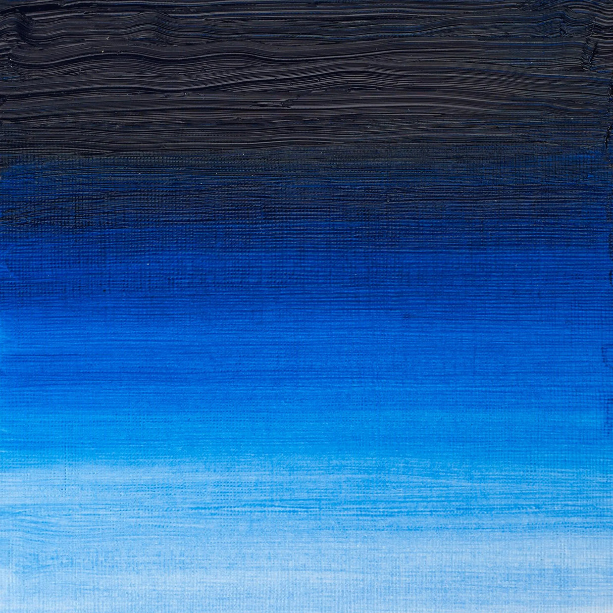 Winsor & Newton Artist's Oil 37ml