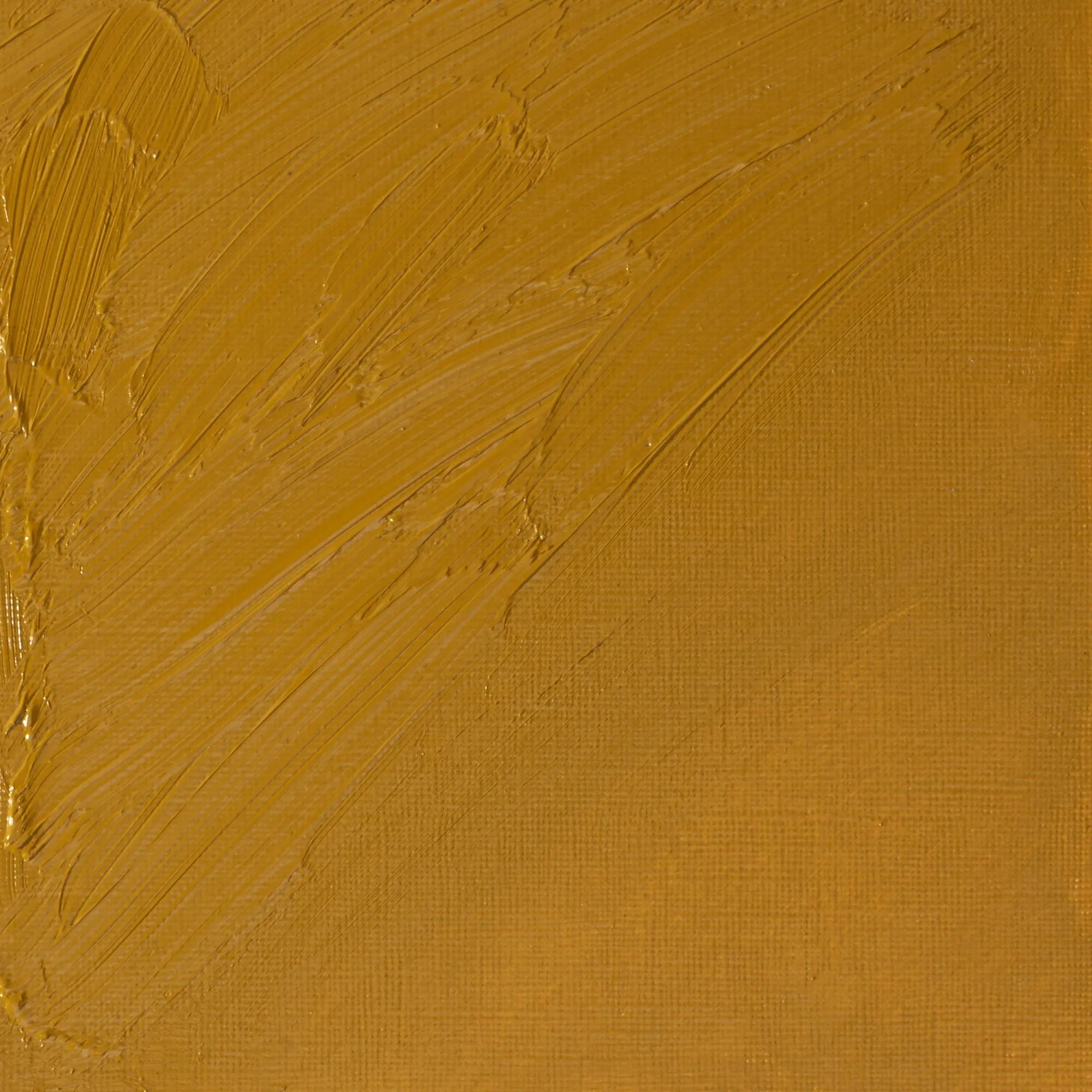 Winsor & Newton Artist's Oil