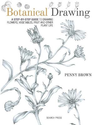Sketching & Drawing Books