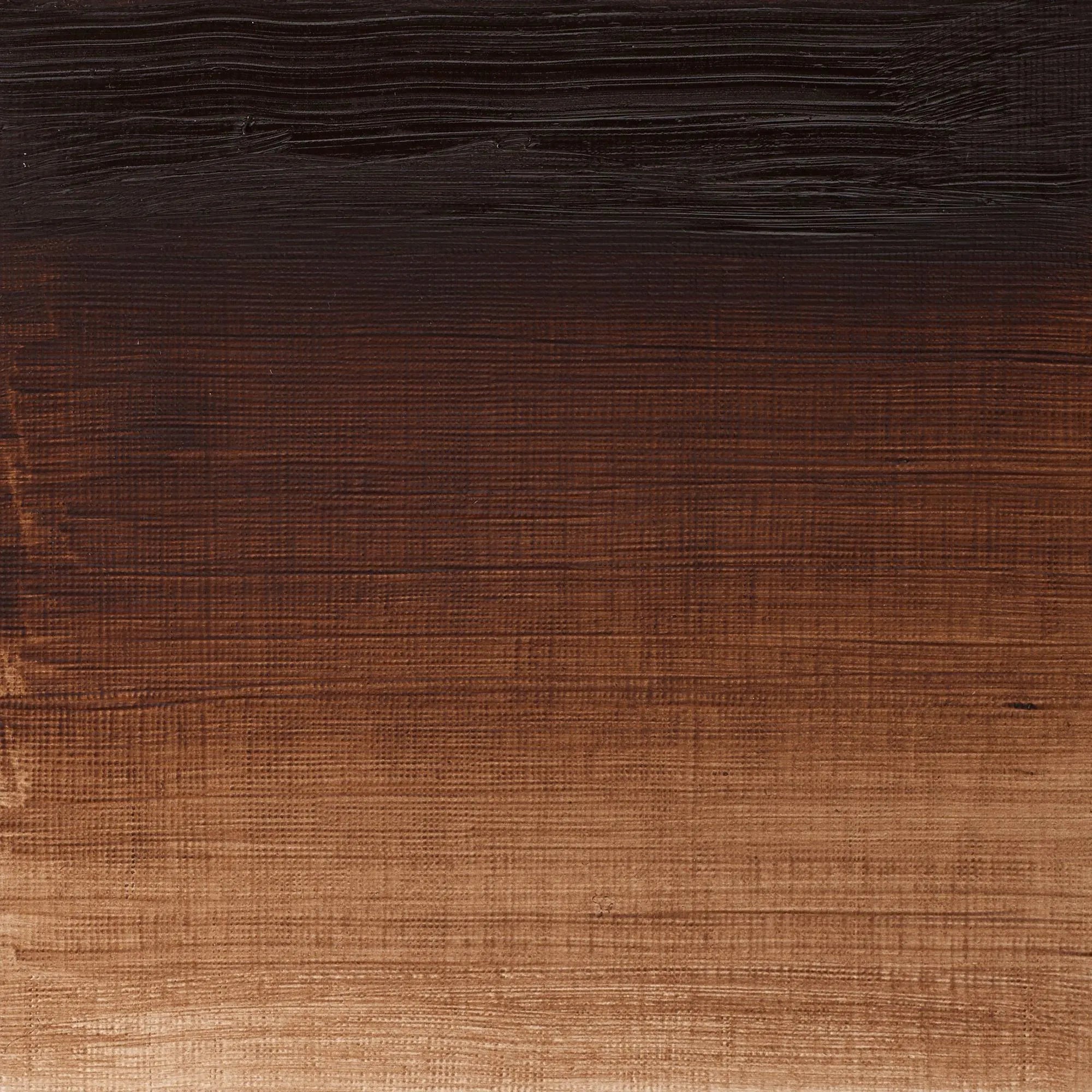 Winsor & Newton Winton Oil
