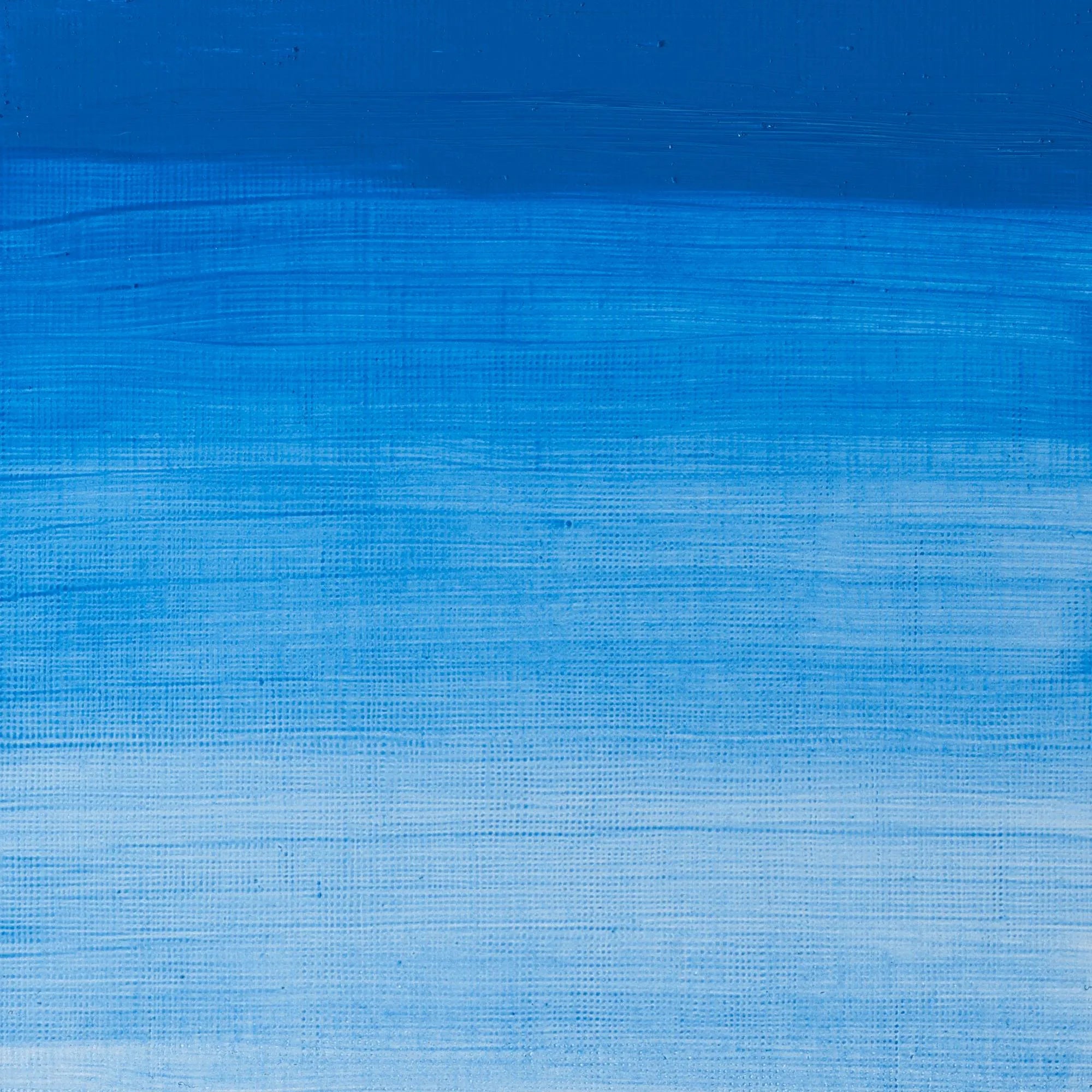 Winsor & Newton Artist's Oil