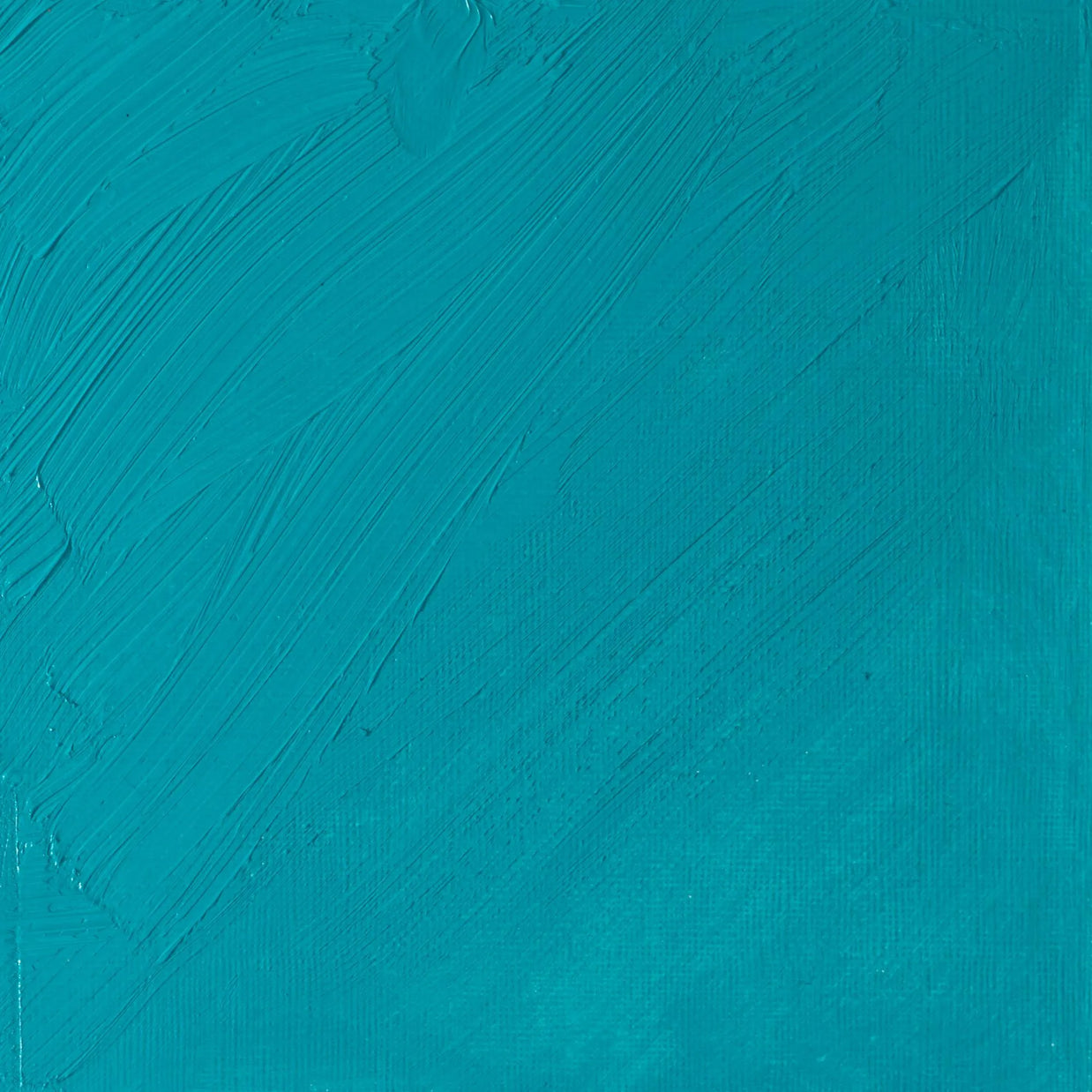 Winsor & Newton Artist's Oil 37ml