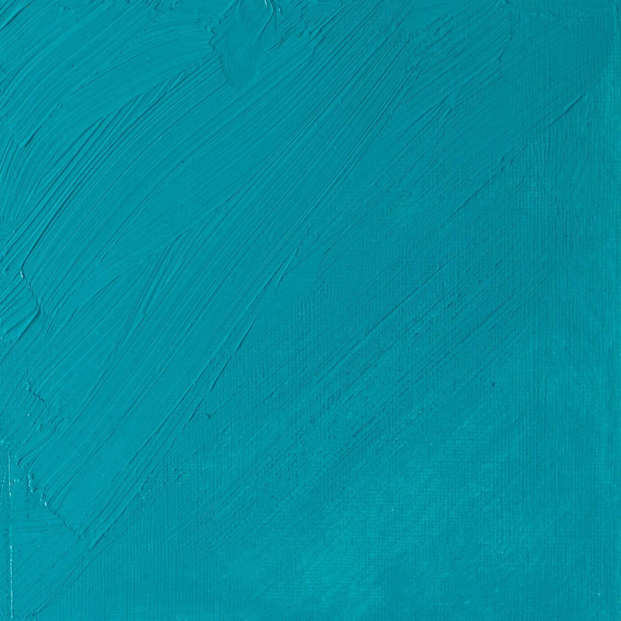 Winsor & Newton Artist's Oil