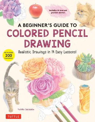 Sketching & Drawing Books