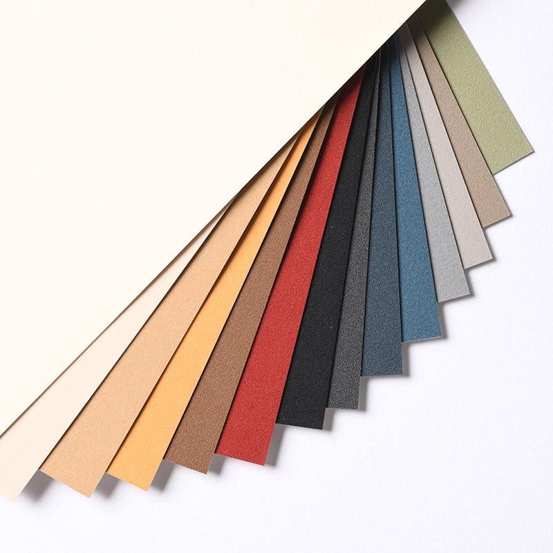 Canson Mi-Tientes Velvet Pastel Paper 430gsm (50x65cm)
