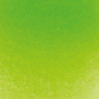 Schmincke Horadam Watercolour