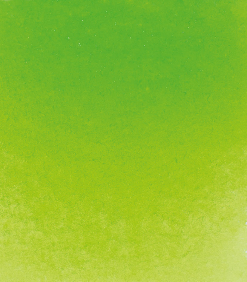 Schmincke Horadam Watercolour
