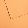 Canson Mi-Tientes Velvet Pastel Paper 430gsm (50x65cm)