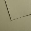 Canson Mi-Tientes Velvet Pastel Paper 430gsm (50x65cm)