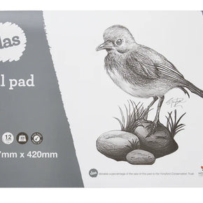 DAS Acrylic and Oil Pads