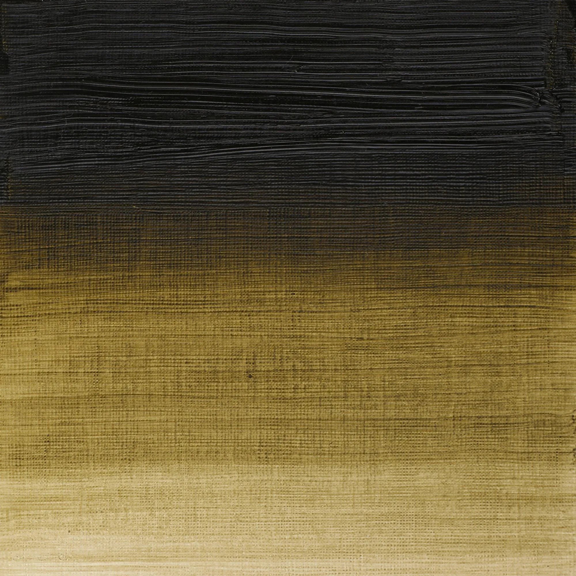 Winsor & Newton Artist's Oil