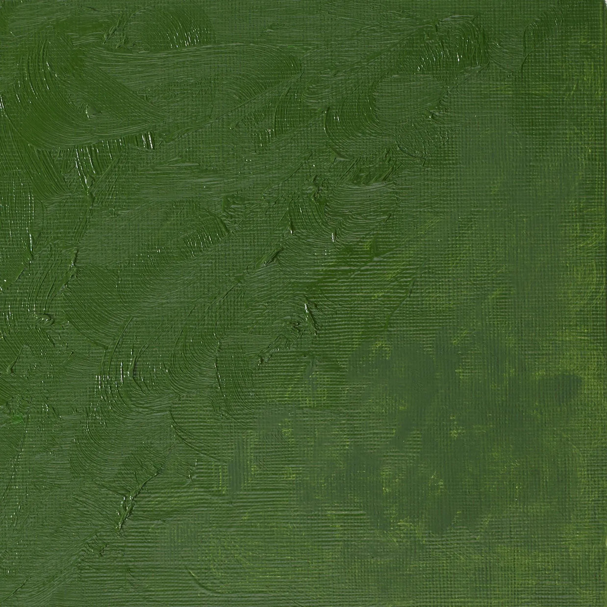 Winsor & Newton Winton Oil