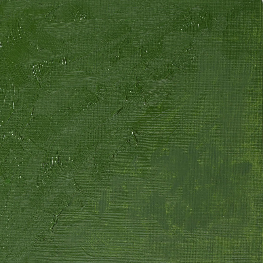 Winsor & Newton Winton Oil