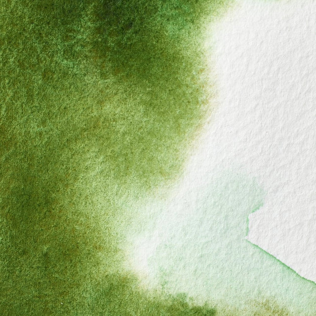 Winsor & Newton Professional Watercolour