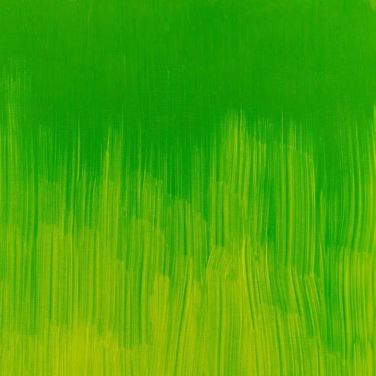 Winsor & Newton Winton Oil