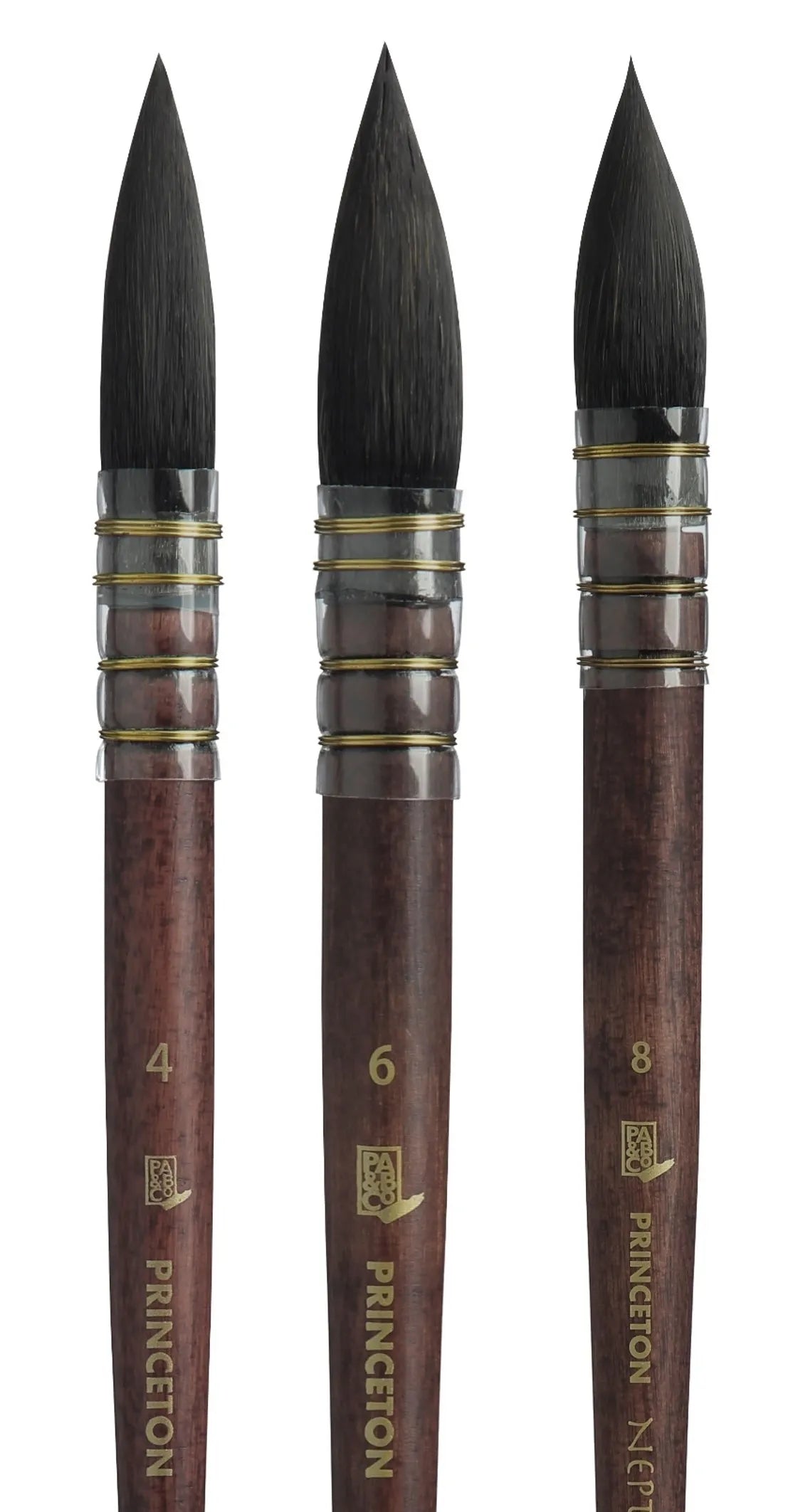 Princeton Neptune Brushes