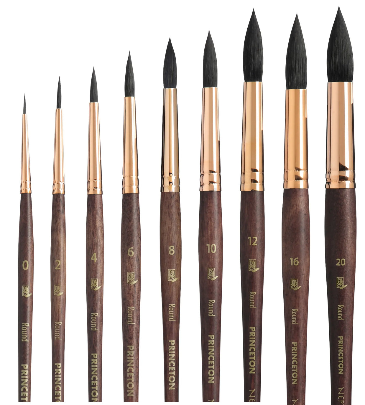 Princeton Neptune Brushes