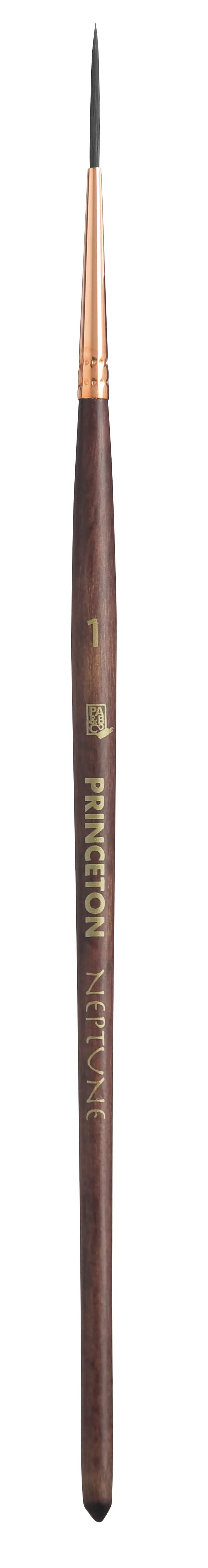 Princeton Neptune Brushes