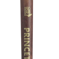 Princeton Neptune Brushes