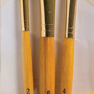 Princeton Real Value Brush Packs