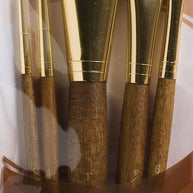 Princeton Real Value Brush Packs