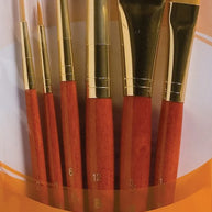 Princeton Real Value Brush Packs