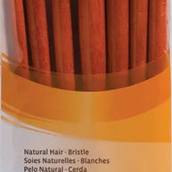 Princeton Real Value Brush Packs