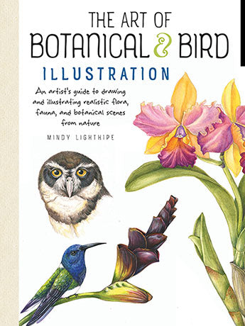Sketching & Drawing Books