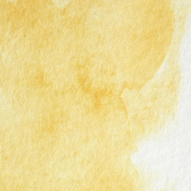 Winsor & Newton Professional Watercolour