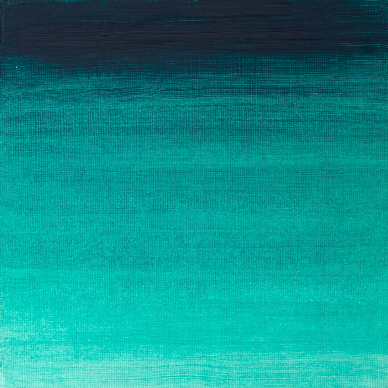 Winsor & Newton Winton Oil