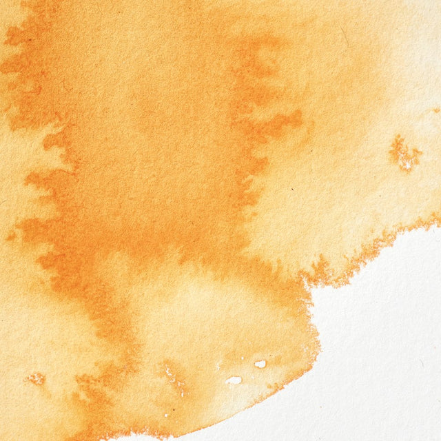 Winsor & Newton Professional Watercolour