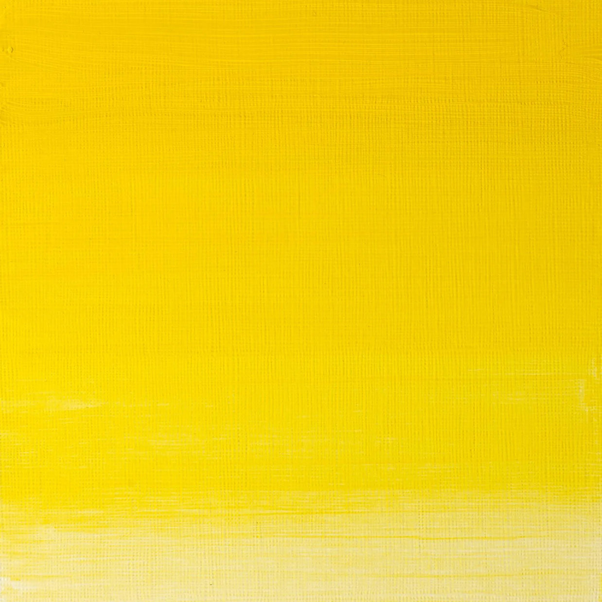 Winsor & Newton Artist's Oil 37ml