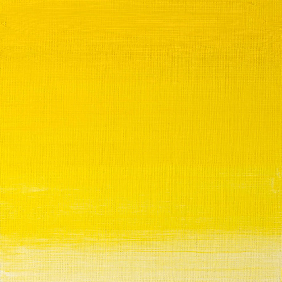 Winsor & Newton Artist's Oil