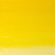 Winsor & Newton Artist's Oil