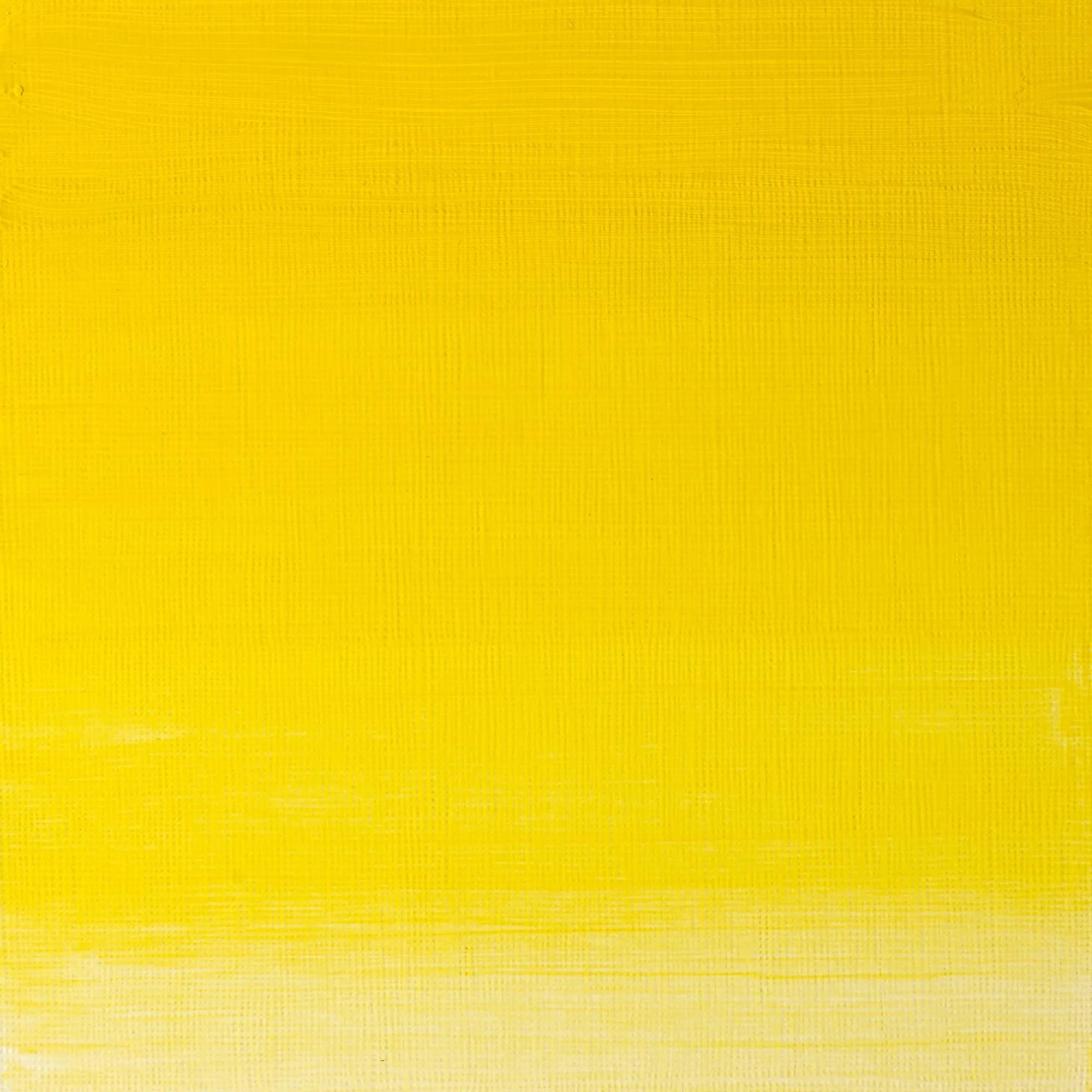 Winsor & Newton Artist's Oil
