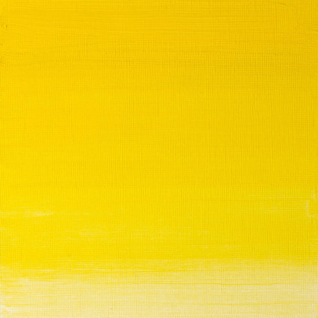 Winsor & Newton Artist's Oil