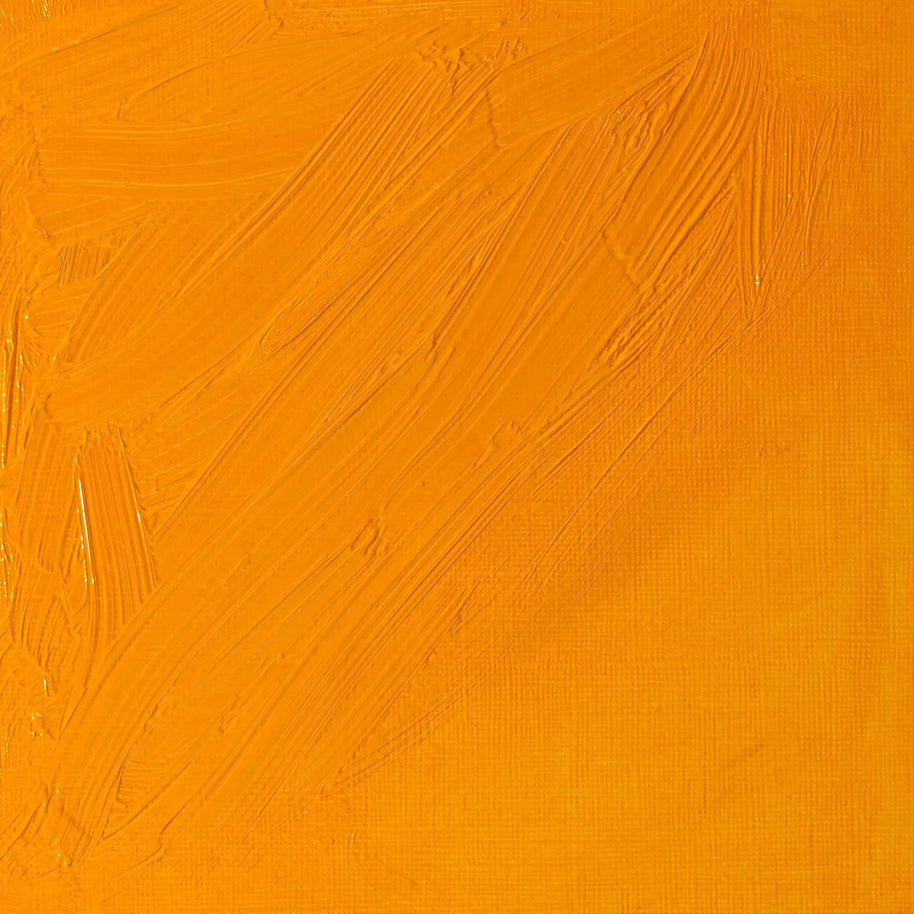 Winsor & Newton Artist's Oil