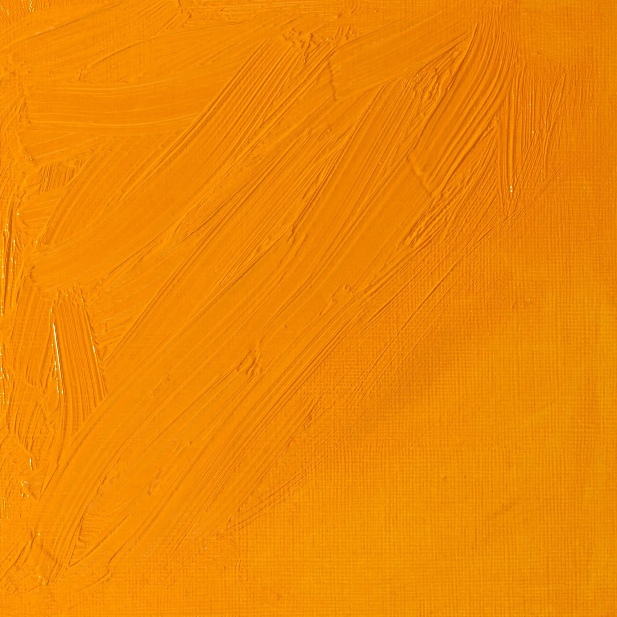Winsor & Newton Artist's Oil